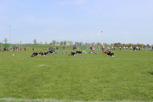 Don Giovanni Cup 30.04.2016_78