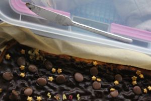 Street Dance Factory Gera 11.06.2016_138