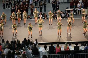 Streetdance Meisterschaft Berlin 09.07.2016_419