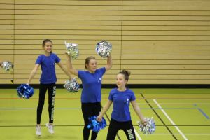 SwansDanceDay 05.11.2016_143