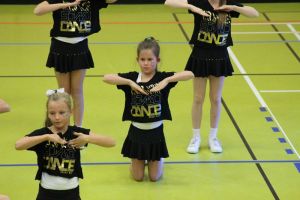 SwansDanceDay 05.11.2016_205