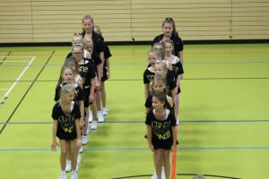 SwansDanceDay 05.11.2016_210