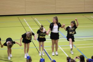 SwansDanceDay 05.11.2016_212