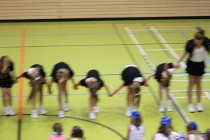 SwansDanceDay 05.11.2016_213