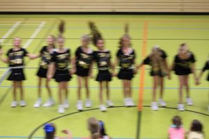 SwansDanceDay 05.11.2016_214