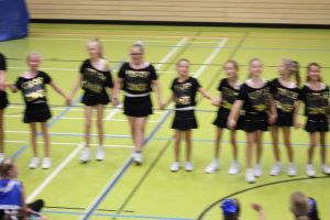 SwansDanceDay 05.11.2016_215