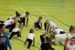 SwansDanceDay 05.11.2016_35