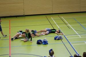 SwansDanceDay 05.11.2016_74