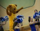 Basketball 07.01.2017_104