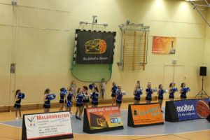 Basketball 07.01.2017_131