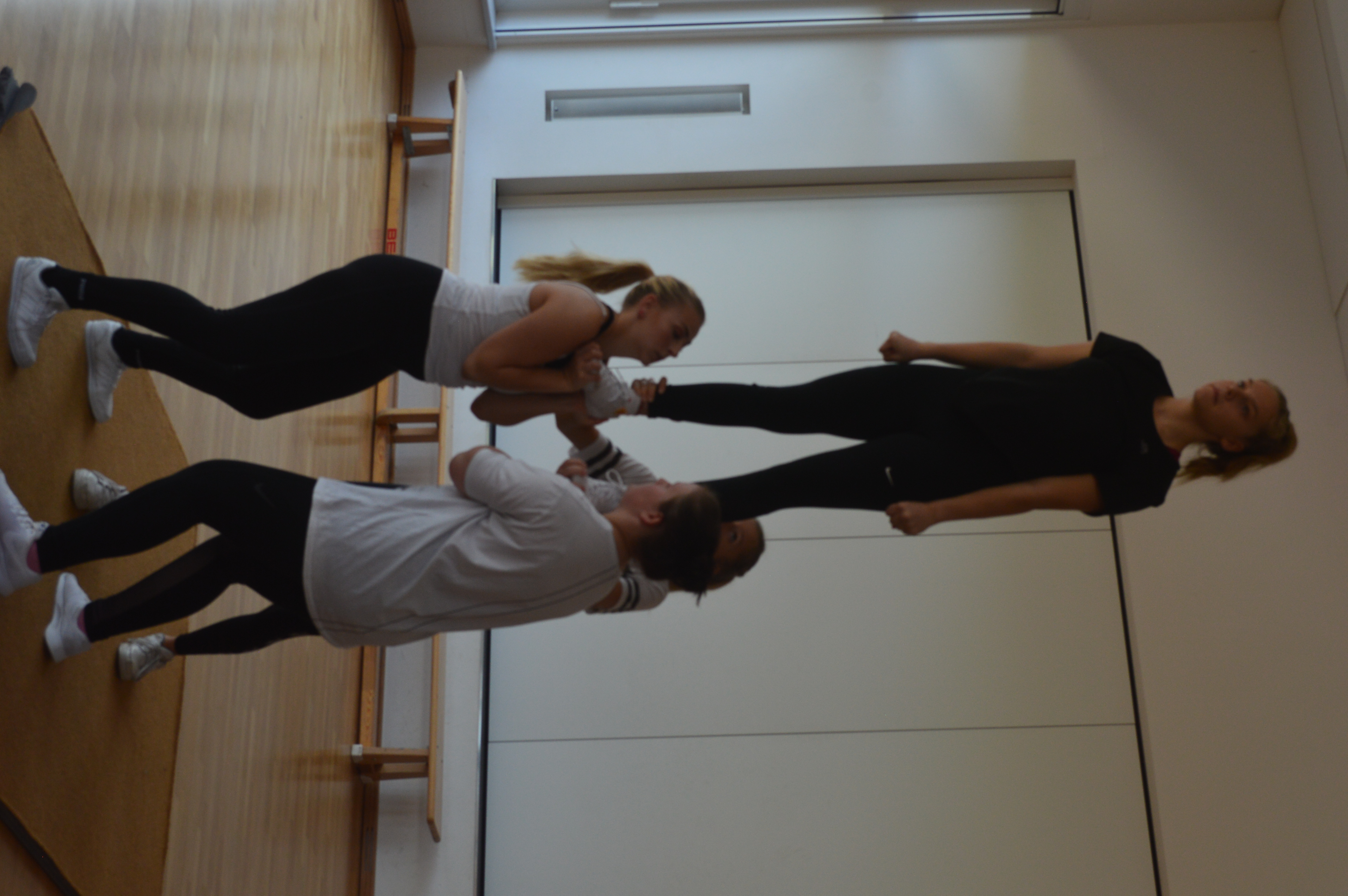 stuntworkshop 2 20201004 1438668380