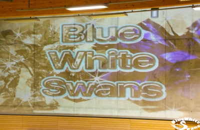Blue White Swans
