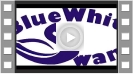 Video Blue White Swans 2021