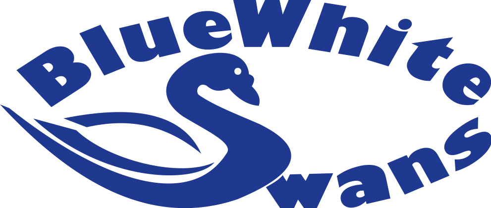 BWS logo freigestellt